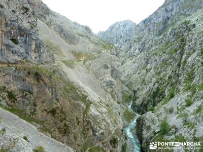 Ruta del Cares - Garganta Divina - Parque Nacional de los Picos de Europa; disfruta la naturaleza